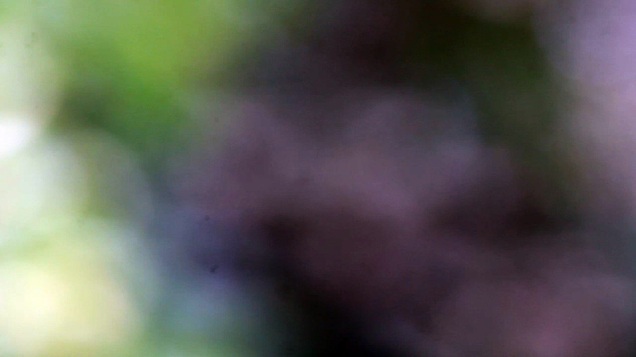 MVI_5192_Jurata_2os