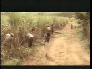 Comandante Che Guevara