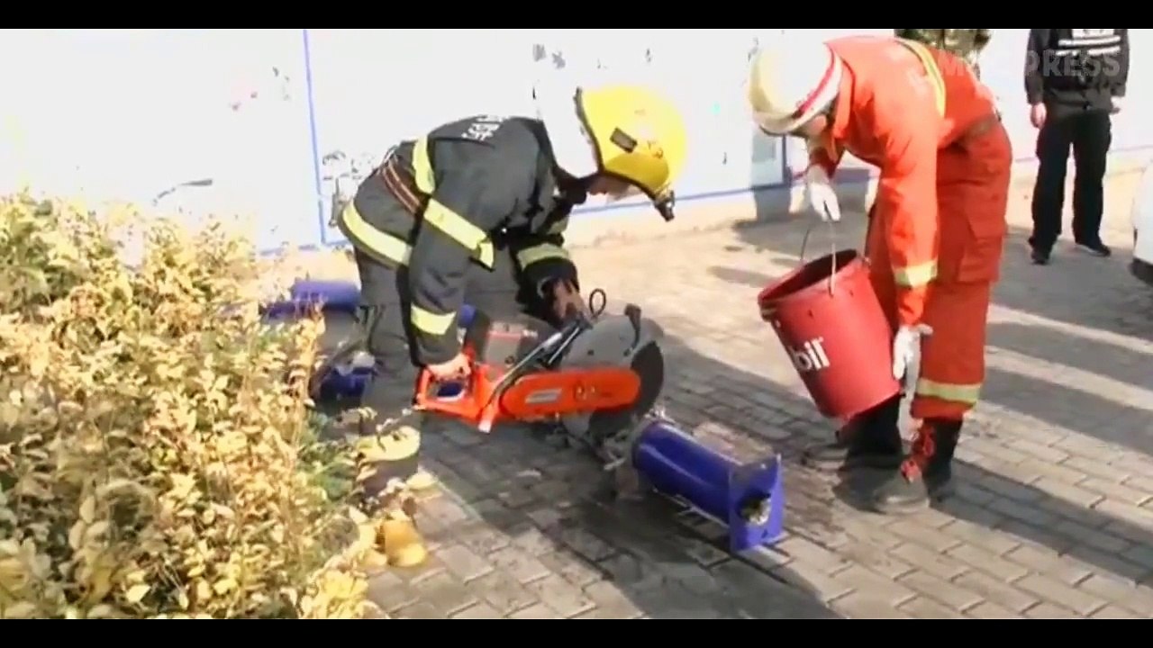 Viral : bomberos chinos liberan a este gatito