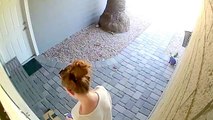 Caught Red Headed Amazon Package Thief Caught On Video