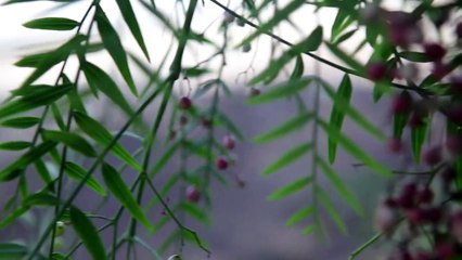 The Jacksons Next Generation - Charitable Giving