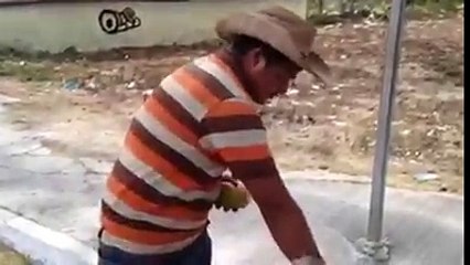 learn how to eat mangoes, very intresting