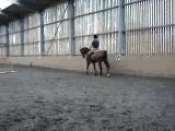 travail au galop