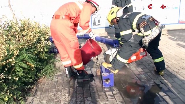 6 pompiers se mobilisent pour sauver un chaton un peu trop curieux