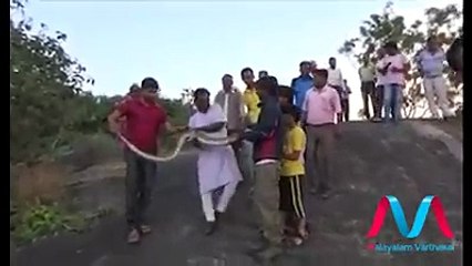 Quiso tomarse una selfie con enorme anaconda, pero todo salió mal