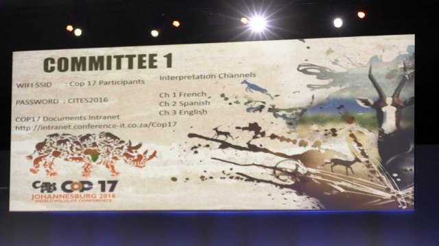 Ivory trade vote exposes divisions on saving elephant