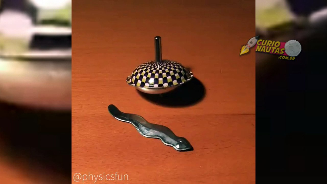 Planária e pião^^