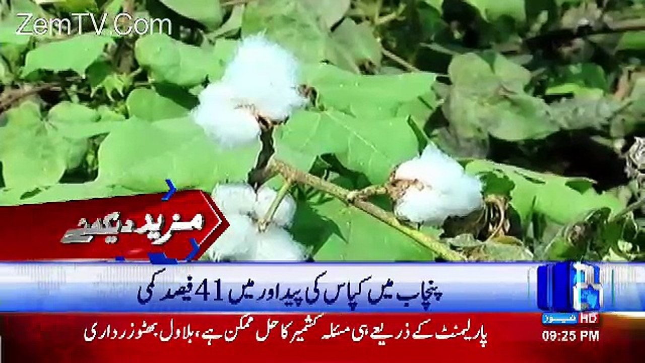 Channel24 9pm News Bulletin – 3rd October 2016