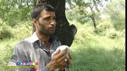 when a man digging a grave then see whats happen