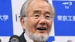 Yoshinori Ohsumi, premio Nobel de Medicina 2016 por sus descubrimientos sobre la autofagia