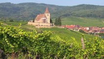 Alsace Land of Wines