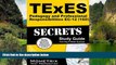 Big Deals  TExES Pedagogy and Professional Responsibilities EC-12 (160) Secrets Study Guide: TExES