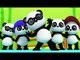 Bao Panda | Five Little Pandas | 3D Nursery Rhymes From Kids Tv