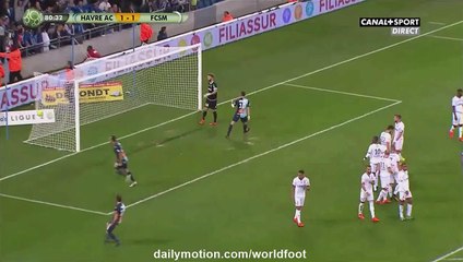 Jean Pascal Fontaine Goal  Le Havre 2 - 1 Sochaux - 03.10.2016