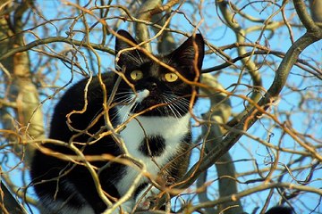 밤의 전쟁 - 분당오피 - bamwar10.net