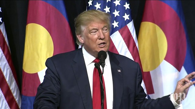 Donald Trump: 'I understand the tax laws better than almost anyone'