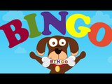 Bingo | Bingo was his name o | Nursery Rhymes And Kids Songs
