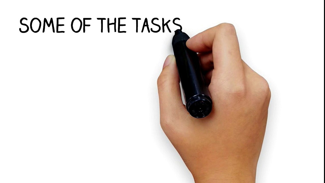 Best SEO Agency in Palm Coast  |  Best Palm Coast SEO Agency | Palm Coast`s Best SEO Agency