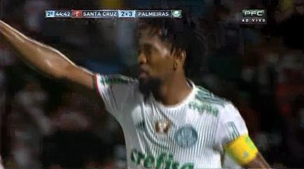 FC Santa Cruz 2-3 Palmeiras - Todos Los Goles - All Goals Exclusive (03/10/2016)