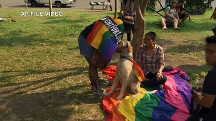 Alvarez to file bill on same-sex union