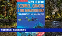 Big Deals  Cozumel, Cancun and the Mayan Peninsula (Globetrotter Dive Guide)  Free Full Read Most