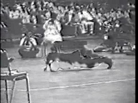 Bruce Lee - 1 inch punch and 2 finger fu wing chun power