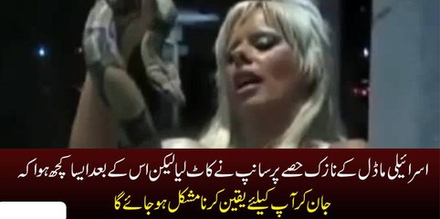 Israeal Ki Modal K Nazok Hassy Par Sanp Ne Kant Liya Is K Bad Jo Howa Ap Ko Yaqeen Ni Aee ga