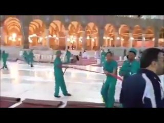 Most Beautiful Job on Earth