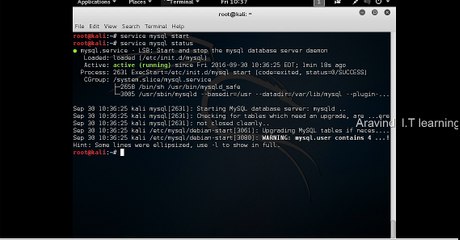 Start MySql Service On Kali Linux