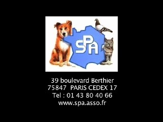 SPOT CONTRE LA CORRIDA 2