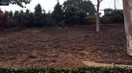Lawn care Maintenance Day in Santa Barbara
