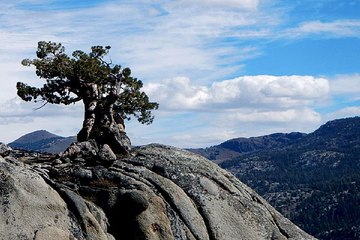 bamwar10.net 의정부오피걸 분당오피걸 밤전