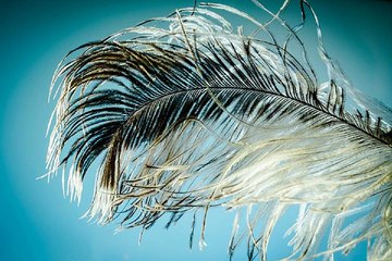 bamwar10.net 세종마사지 수원립카페 밤의 전쟁