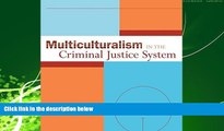 different   Multiculturalism in the Criminal Justice System