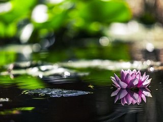 밤전 - 광주안마 - 인천휴게텔