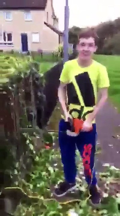 Pourquoi vous ne devriez pas couper les arbres si vous avez le syndrome de gilles de la tourette