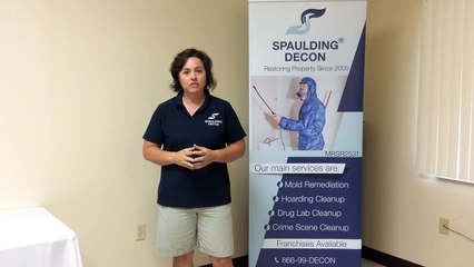 Hoarding cleanup Franchise and services