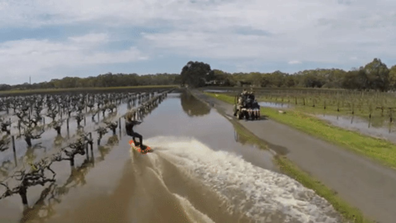 Drone Shows Wakeboarder Gliding Across Flooded Vineyard