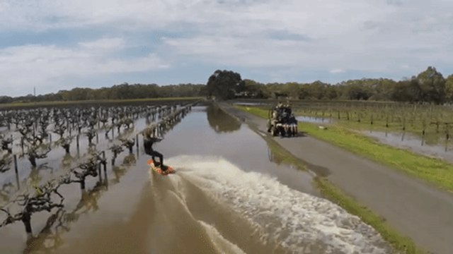 Drone Shows Wakeboarder Gliding Across Flooded Vineyard