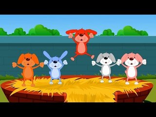 Пять маленьких щенков