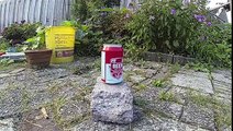 Gopro Hero  Exploding Beer Can In Slomo