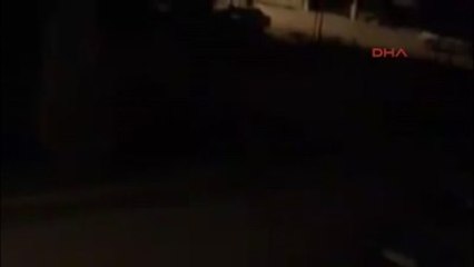 Denizli'de Yaban Domuzları Şehre İndi