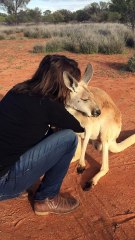 Kangaroo Cuddles by Queen Abi
